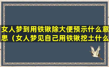 女人梦到用铁锹除大便预示什么意思（女人梦见自己用铁锹挖土什么意思好不好）