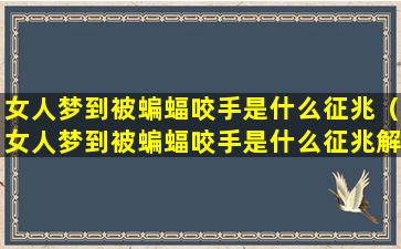 女人梦到被蝙蝠咬手是什么征兆（女人梦到被蝙蝠咬手是什么征兆解梦）