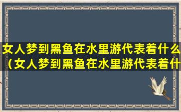 女人梦到黑鱼在水里游代表着什么（女人梦到黑鱼在水里游代表着什么意思）