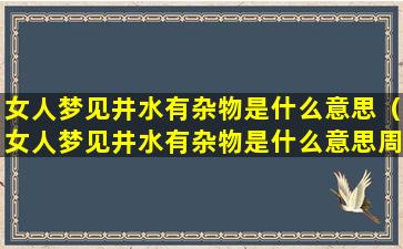 女人梦见井水有杂物是什么意思（女人梦见井水有杂物是什么意思周公解梦）