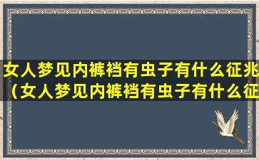 女人梦见内裤裆有虫子有什么征兆（女人梦见内裤裆有虫子有什么征兆吗）