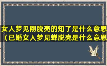 女人梦见刚脱壳的知了是什么意思（已婚女人梦见蝉脱壳是什么意思）