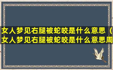 女人梦见右腿被蛇咬是什么意思（女人梦见右腿被蛇咬是什么意思周公解梦）