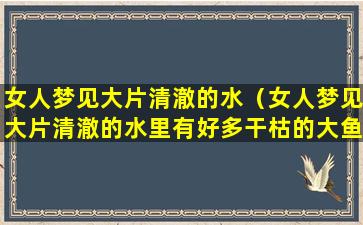 女人梦见大片清澈的水（女人梦见大片清澈的水里有好多干枯的大鱼）