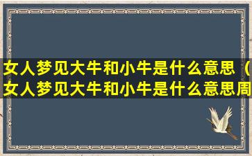 女人梦见大牛和小牛是什么意思（女人梦见大牛和小牛是什么意思周公解梦）