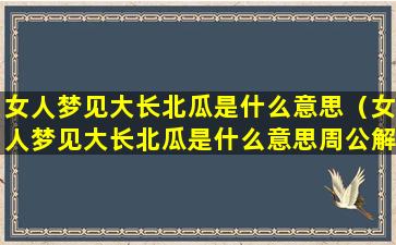 女人梦见大长北瓜是什么意思（女人梦见大长北瓜是什么意思周公解梦）