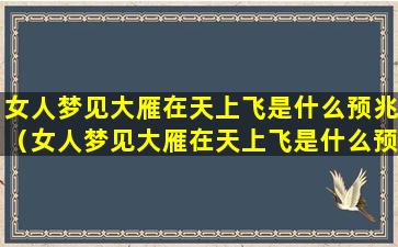 女人梦见大雁在天上飞是什么预兆（女人梦见大雁在天上飞是什么预兆周公解梦）