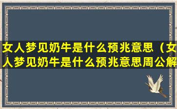 女人梦见奶牛是什么预兆意思（女人梦见奶牛是什么预兆意思周公解梦）