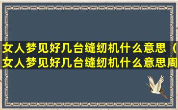 女人梦见好几台缝纫机什么意思（女人梦见好几台缝纫机什么意思周公解梦）