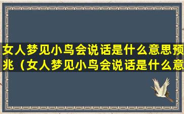 女人梦见小鸟会说话是什么意思预兆（女人梦见小鸟会说话是什么意思预兆解梦）