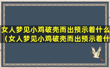 女人梦见小鸡破壳而出预示着什么（女人梦见小鸡破壳而出预示着什么女人梦见小鸡）