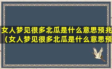 女人梦见很多北瓜是什么意思预兆（女人梦见很多北瓜是什么意思预兆周公解梦）