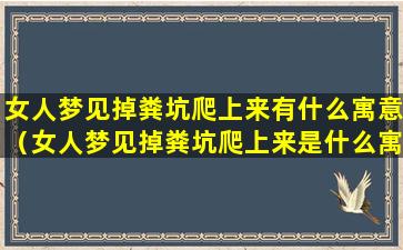 女人梦见掉粪坑爬上来有什么寓意（女人梦见掉粪坑爬上来是什么寓意）