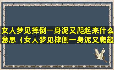 女人梦见摔倒一身泥又爬起来什么意思（女人梦见摔倒一身泥又爬起来什么意思呀）