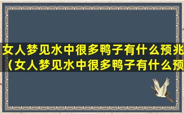 女人梦见水中很多鸭子有什么预兆（女人梦见水中很多鸭子有什么预兆解梦）