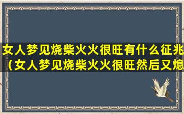 女人梦见烧柴火火很旺有什么征兆（女人梦见烧柴火火很旺然后又熄灭了）