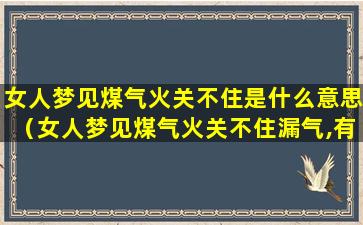 女人梦见煤气火关不住是什么意思（女人梦见煤气火关不住漏气,有扑灭了,是什么意思）