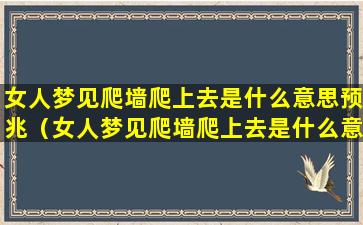 女人梦见爬墙爬上去是什么意思预兆（女人梦见爬墙爬上去是什么意思预兆解梦）