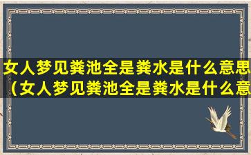 女人梦见粪池全是粪水是什么意思（女人梦见粪池全是粪水是什么意思周公解梦）