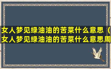 女人梦见绿油油的苦菜什么意思（女人梦见绿油油的苦菜什么意思周公解梦）