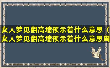 女人梦见翻高墙预示着什么意思（女人梦见翻高墙预示着什么意思周公解梦）