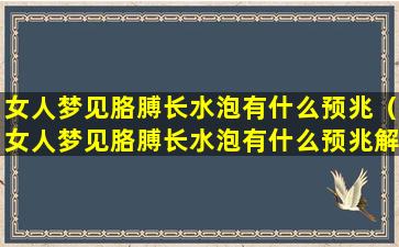 女人梦见胳膊长水泡有什么预兆（女人梦见胳膊长水泡有什么预兆解梦）