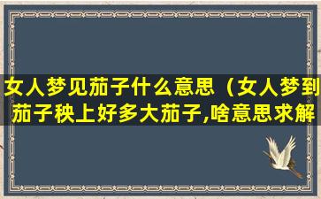 女人梦见茄子什么意思（女人梦到茄子秧上好多大茄子,啥意思求解）