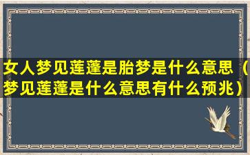 女人梦见莲蓬是胎梦是什么意思（梦见莲蓬是什么意思有什么预兆）