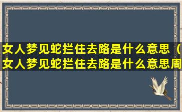 女人梦见蛇拦住去路是什么意思（女人梦见蛇拦住去路是什么意思周公解梦）