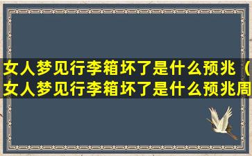 女人梦见行李箱坏了是什么预兆（女人梦见行李箱坏了是什么预兆周公解梦）