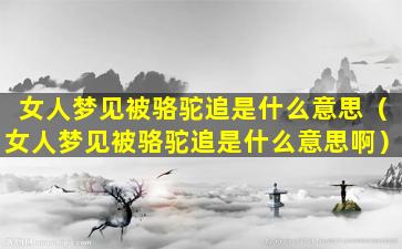 女人梦见被骆驼追是什么意思（女人梦见被骆驼追是什么意思啊）