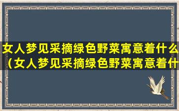 女人梦见采摘绿色野菜寓意着什么（女人梦见采摘绿色野菜寓意着什么意思）