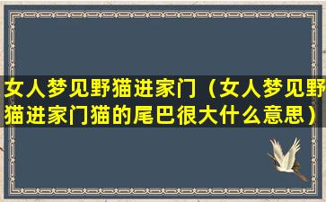 女人梦见野猫进家门（女人梦见野猫进家门猫的尾巴很大什么意思）