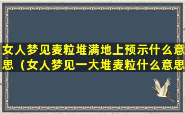 女人梦见麦粒堆满地上预示什么意思（女人梦见一大堆麦粒什么意思）