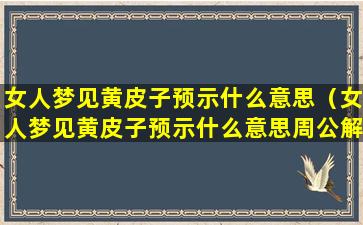 女人梦见黄皮子预示什么意思（女人梦见黄皮子预示什么意思周公解梦）