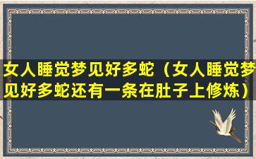 女人睡觉梦见好多蛇（女人睡觉梦见好多蛇还有一条在肚子上修炼）