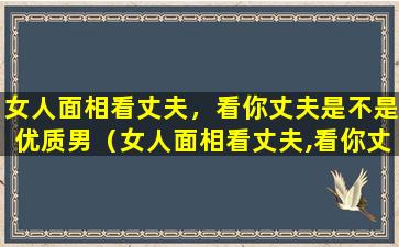 女人面相看丈夫，看你丈夫是不是优质男（女人面相看丈夫,看你丈夫是不是优质男的表现）