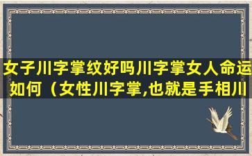 女子川字掌纹好吗川字掌女人命运如何（女性川字掌,也就是手相川字纹好不好呢）