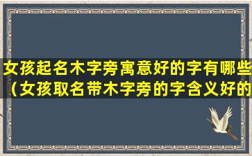 女孩起名木字旁寓意好的字有哪些（女孩取名带木字旁的字含义好的有哪些）