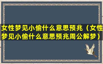 女性梦见小偷什么意思预兆（女性梦见小偷什么意思预兆周公解梦）