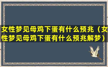 女性梦见母鸡下蛋有什么预兆（女性梦见母鸡下蛋有什么预兆解梦）