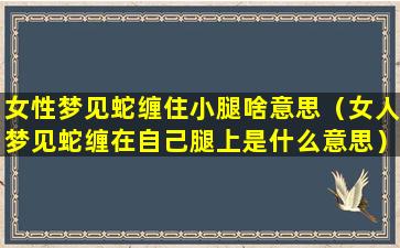 女性梦见蛇缠住小腿啥意思（女人梦见蛇缠在自己腿上是什么意思）