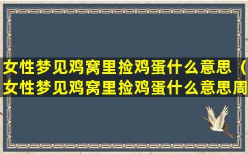 女性梦见鸡窝里捡鸡蛋什么意思（女性梦见鸡窝里捡鸡蛋什么意思周公解梦）