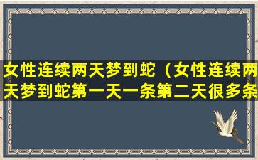 女性连续两天梦到蛇（女性连续两天梦到蛇第一天一条第二天很多条）