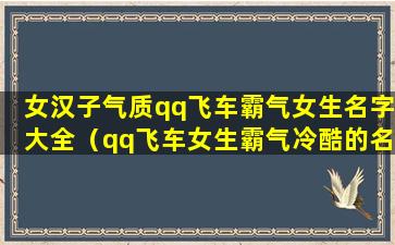 女汉子气质qq飞车霸气女生名字大全（qq飞车女生霸气冷酷的名字）