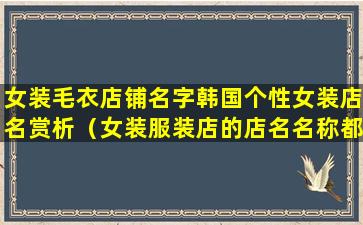 女装毛衣店铺名字韩国个性女装店名赏析（女装服装店的店名名称都有什么）