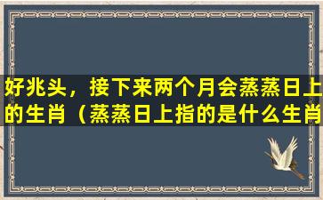 好兆头，接下来两个月会蒸蒸日上的生肖（蒸蒸日上指的是什么生肖）