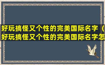 好玩搞怪又个性的完美国际名字（好玩搞怪又个性的完美国际名字怎么取）