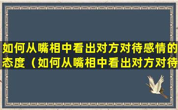 如何从嘴相中看出对方对待感情的态度（如何从嘴相中看出对方对待感情的态度和行为）