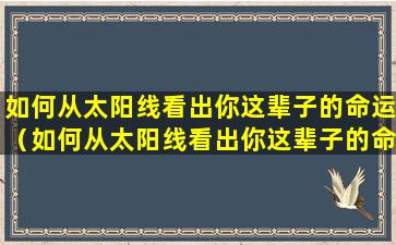 如何从太阳线看出你这辈子的命运（如何从太阳线看出你这辈子的命运呢）